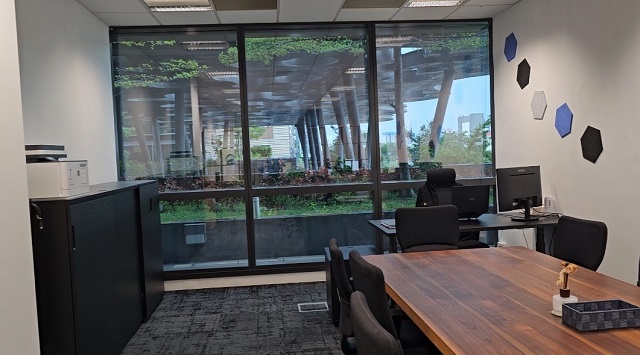 開曼公司年審關(guān)鍵注意事項：避坑指南與合規(guī)要點