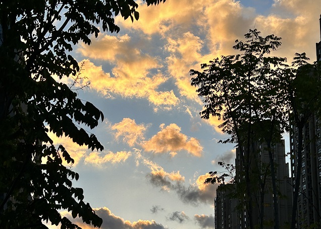 香港高才通續(xù)簽的申請(qǐng)時(shí)間有要求嗎