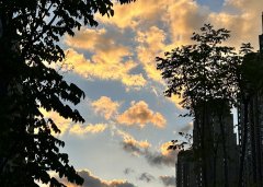 2025上半年，中國(guó)企業(yè)出海刷新全球副本：更猛、更強(qiáng)、更聰明